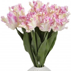 Light Pink Parrot Tulip Stem